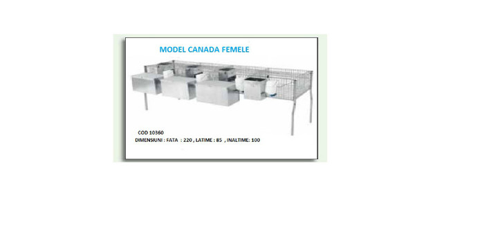 MODEL CANADA FEMELE - 4-CATALOG PRODUSE PENTRU  IEPURI