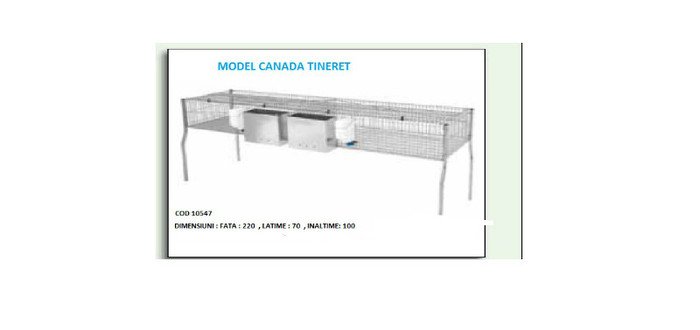 MODEL CANADA TINERET - 4-CATALOG PRODUSE PENTRU  IEPURI