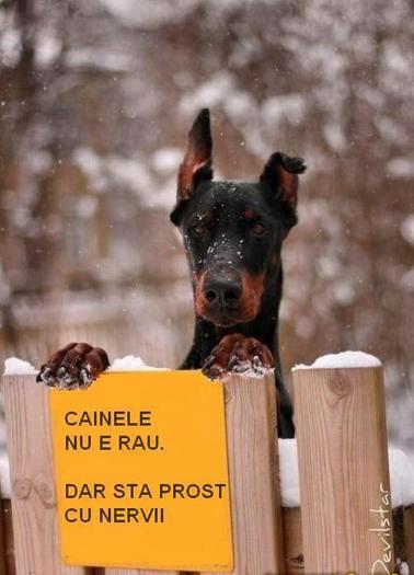 303615_321096754648517_937437559_n