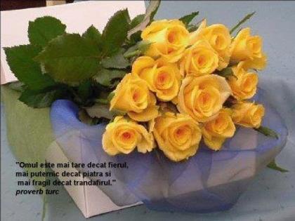 575229_399127196788225_294081140626165_1275409_277426269_n