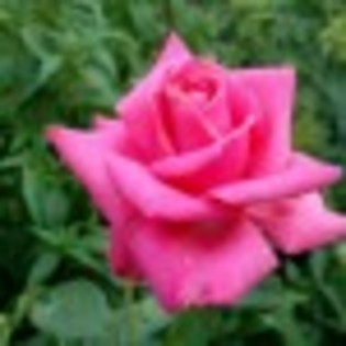 contact-poza-16-65755x75 contact-poza-16-65755x75