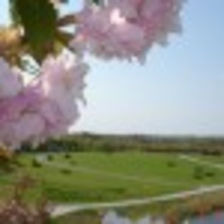 in-parc-71964x75 in-parc-71964x75