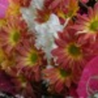 cununie-civila-poza-10-55200x75 - poze cu flori