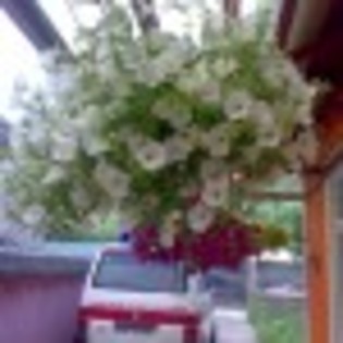 familia-poza-105-49508x75