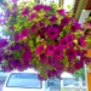 familia-poza-106-49509x75