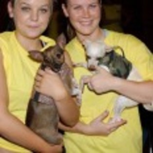 Kirsten_Storms_1238456634_3