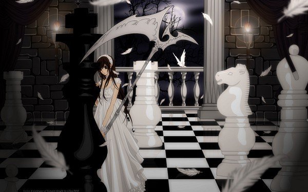 24495910 - poze cu Vampire Knight