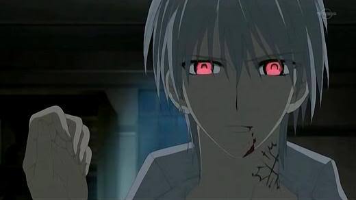 Zero8 - poze cu Vampire Knight