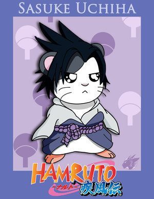13427042_AMRUPHNQZ