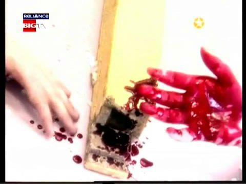 301521_258369544201400_38725168_n