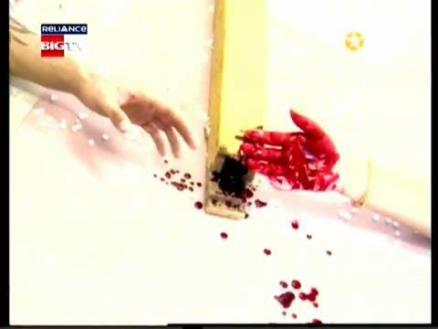 312891_258369487534739_2145554091_n