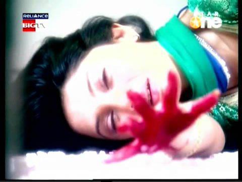 313124_258369594201395_1559806126_n