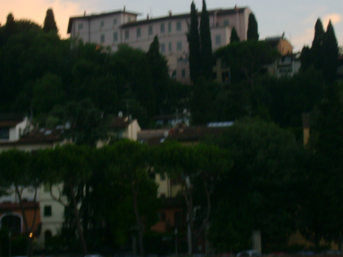 DSC01432 - Firenze 2011