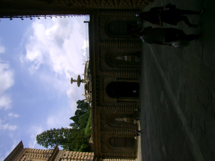 DSC01555