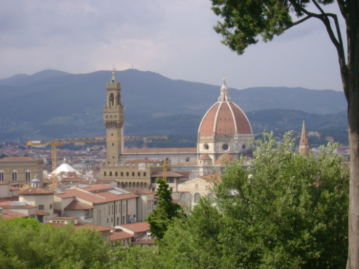 DSC01565 - Firenze 2011