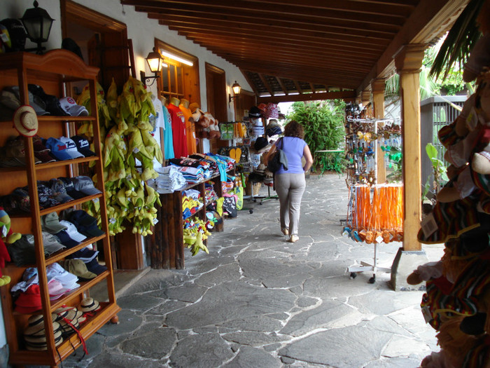 DSC04649 - Tenerife 2011
