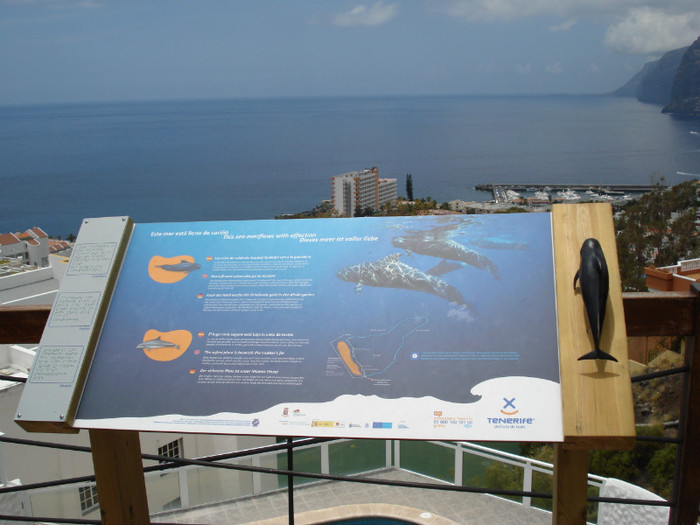 DSC04665 - Tenerife 2011