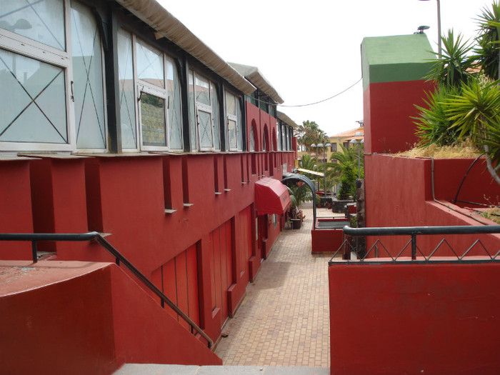 DSC04704