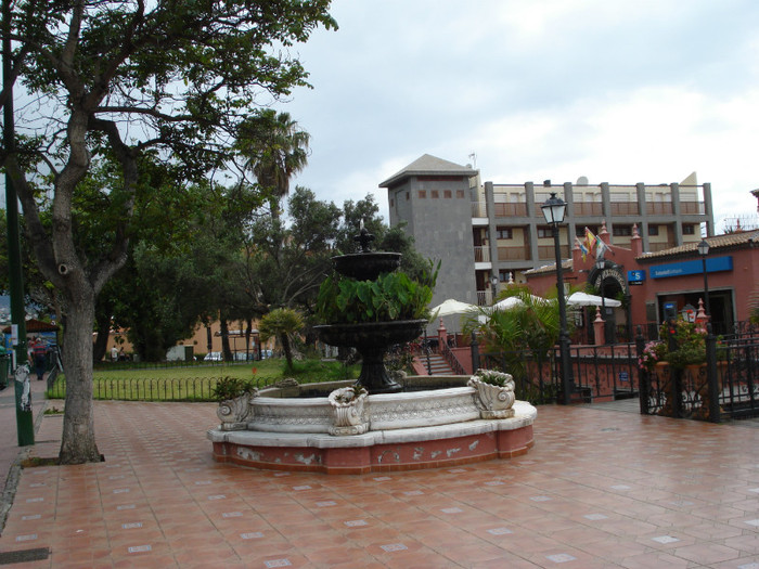 DSC04710 - Tenerife 2011