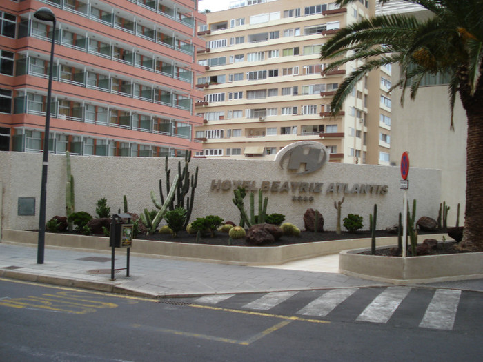 DSC04716