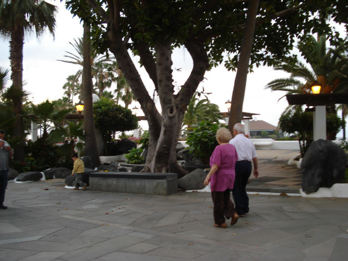 DSC04718 - Tenerife 2011