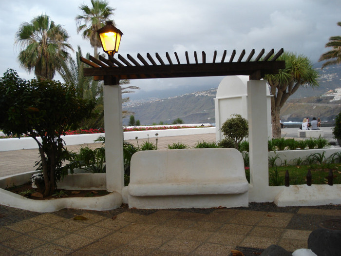 DSC04721 - Tenerife 2011