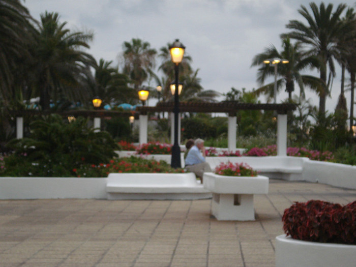 DSC04723 - Tenerife 2011