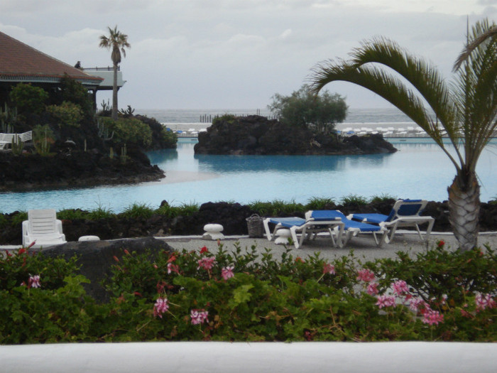 DSC04724 - Tenerife 2011