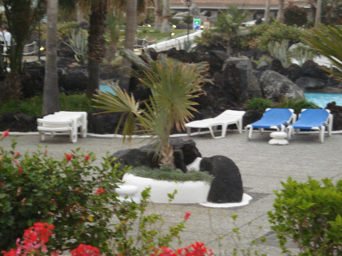 DSC04725 - Tenerife 2011