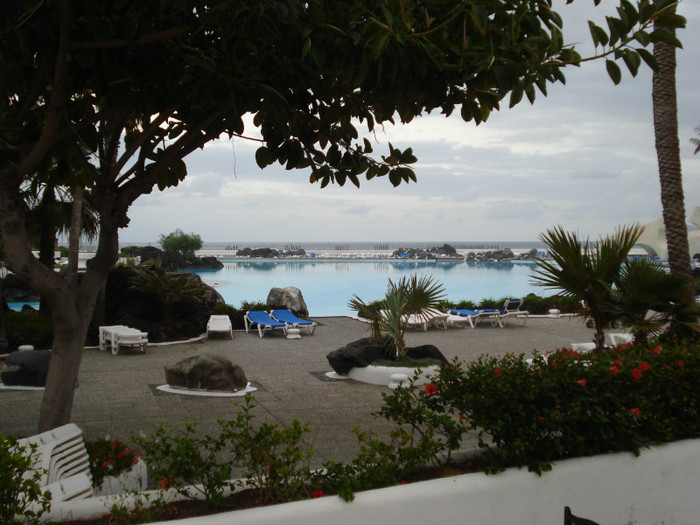 DSC04728 - Tenerife 2011