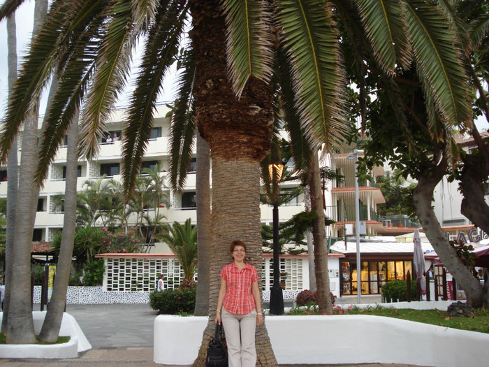 DSC04731 - Tenerife 2011