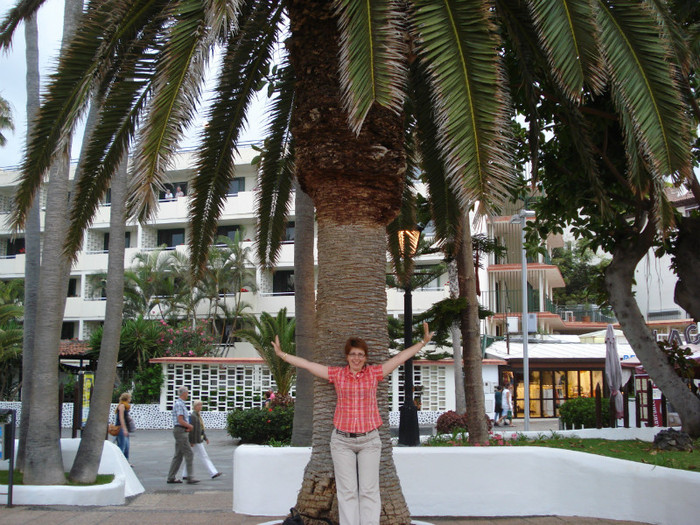 DSC04732 - Tenerife 2011