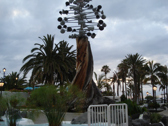 DSC04733 - Tenerife 2011