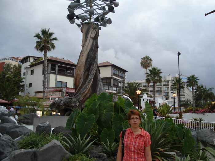 DSC04737 - Tenerife 2011