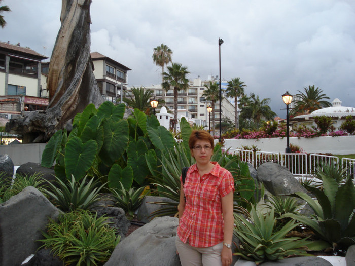 DSC04738 - Tenerife 2011