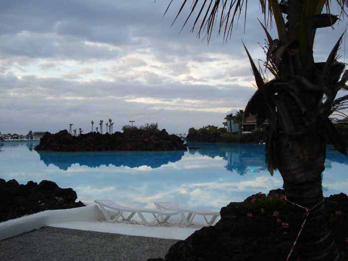 DSC04742 - Tenerife 2011