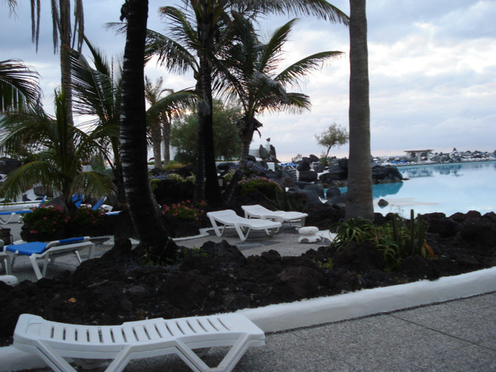 DSC04743 - Tenerife 2011