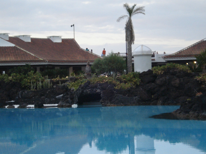 DSC04744 - Tenerife 2011