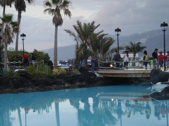 DSC04745 - Tenerife 2011