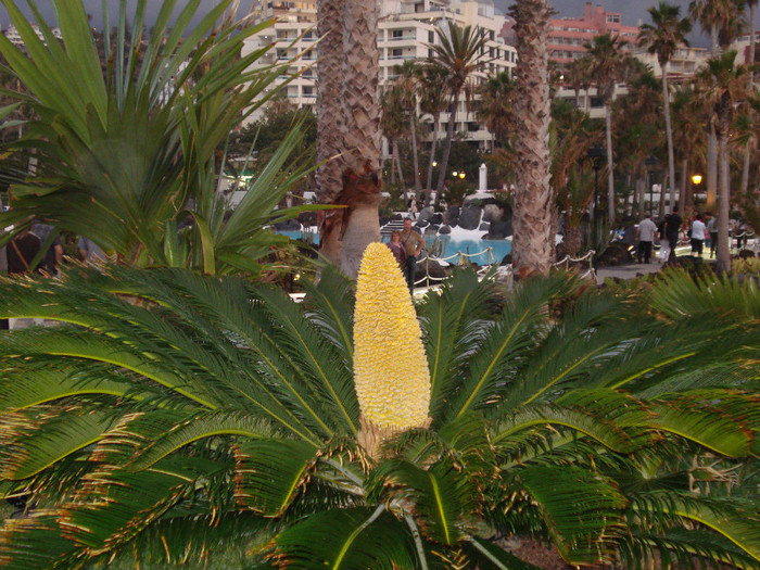 DSC04765