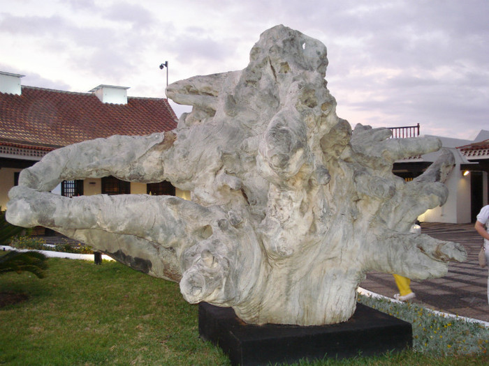 DSC04766