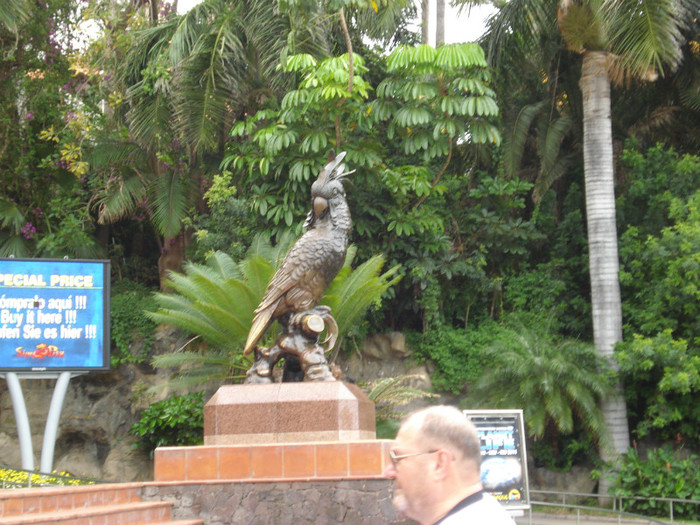 DSC04774