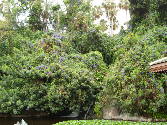 DSC04787