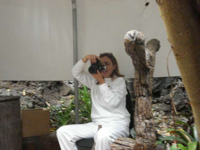 DSC04797