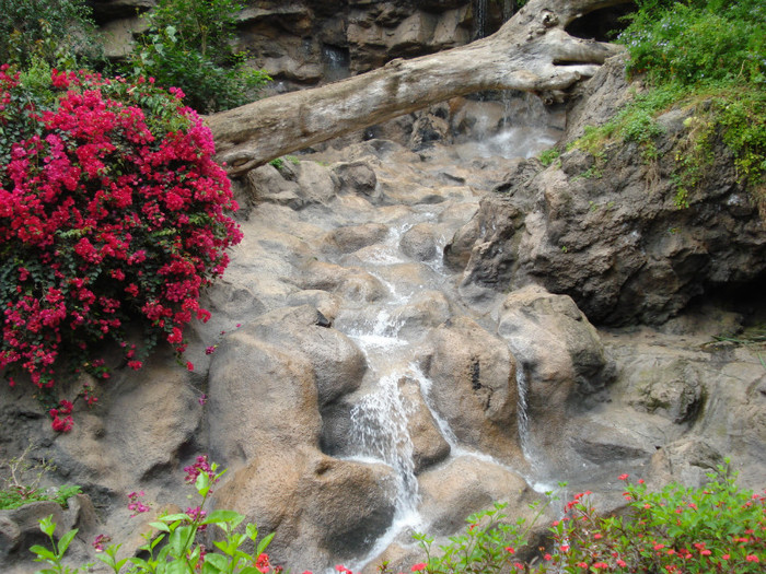 DSC04803