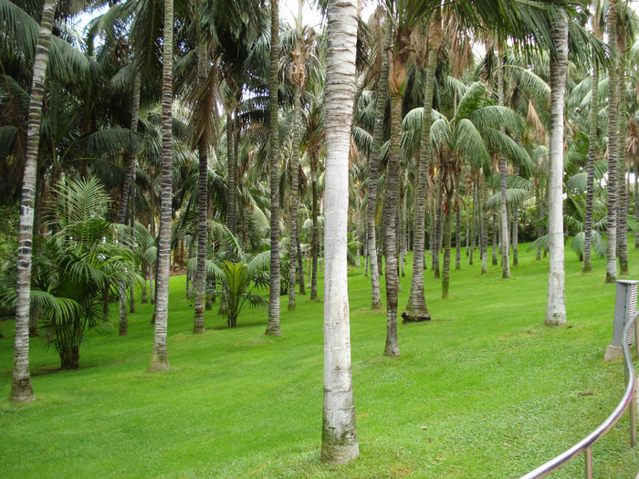 DSC04806