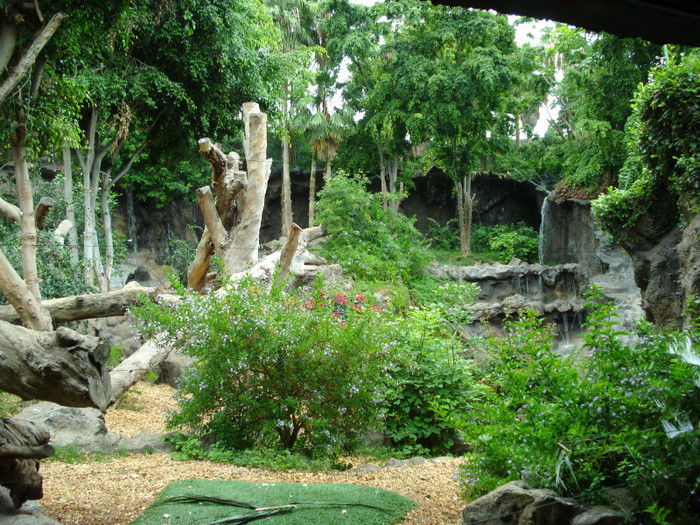 DSC04808