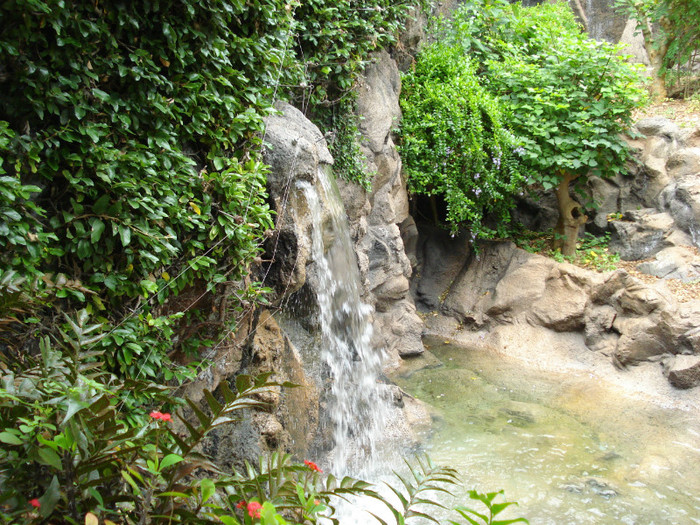 DSC04824