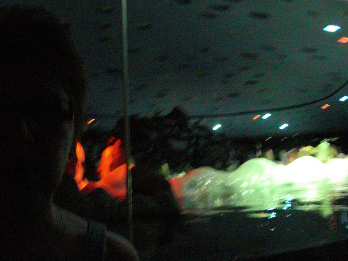 DSC04847