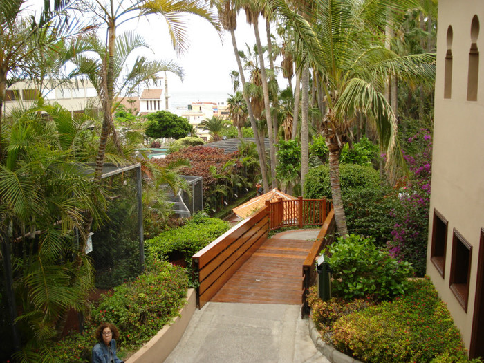 DSC04919 - Tenerife 2011